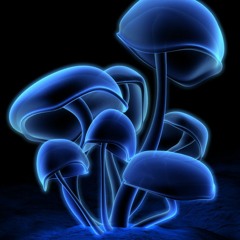 Psychedelic Trance Classics (1998-2002)