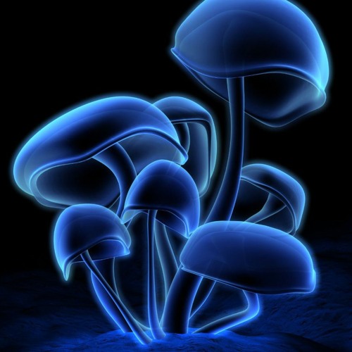 Psychedelic Trance Classics (1998-2002)