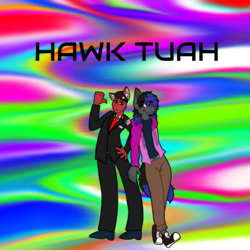 HAWK TUAH (w/ Stylez-X Pony)