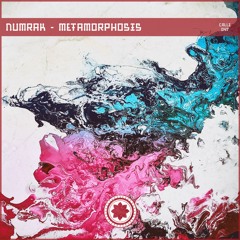 Numrak - Dark Metamorphosis (Original Mix) snippet