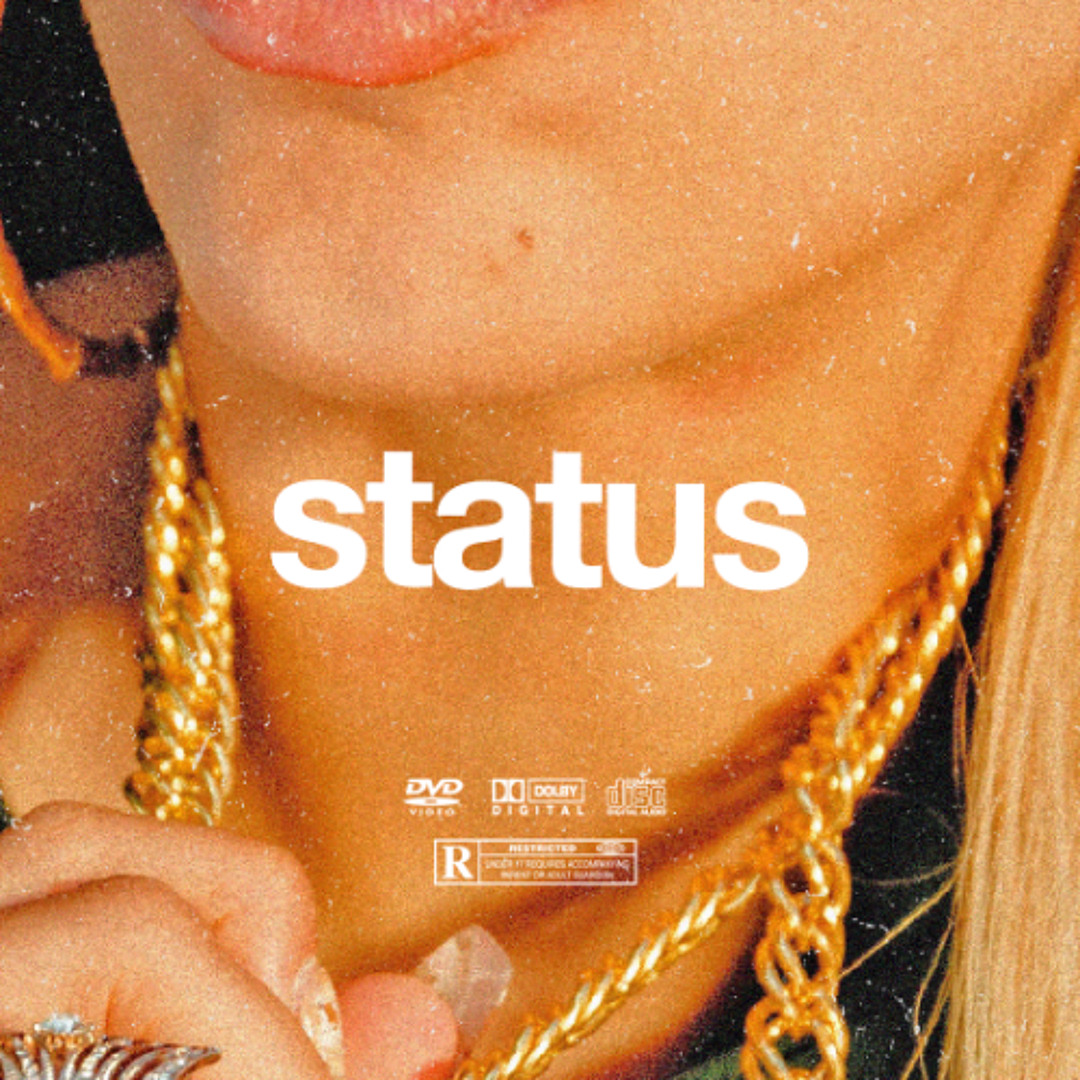 Listen to music albums featuring (FREE) "Status" Rema x Burna Boy x Asake Type Beat Free