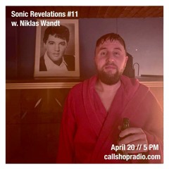 Sonic Revelations #11 w/ Niklas Wandt 20.04.23