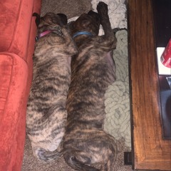 SlimReaper X Rit - Better Headspace (Prod By Lambchop)