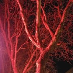 Call Me Blondie Cover