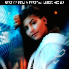 Best Of Edm & Festival Music Mix #3 (Mix By Beatshoundz)