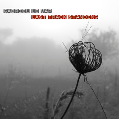 Walking on a Jetwing