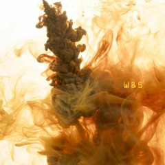 W & S