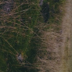Tall _ 84