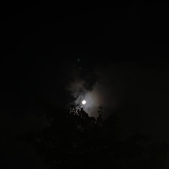 잘자