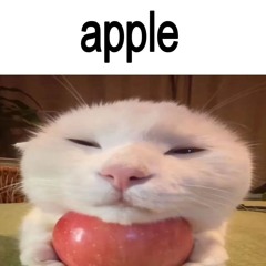 MEGANASRAL