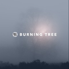 Burning tree