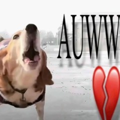 RR~ Slimita (@Prodby tnzie x wydwilson).mp3