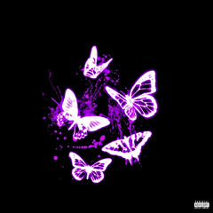 Check It