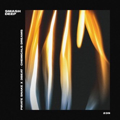 Pirate Snake x 3Beat - ChemicaLS Dreams