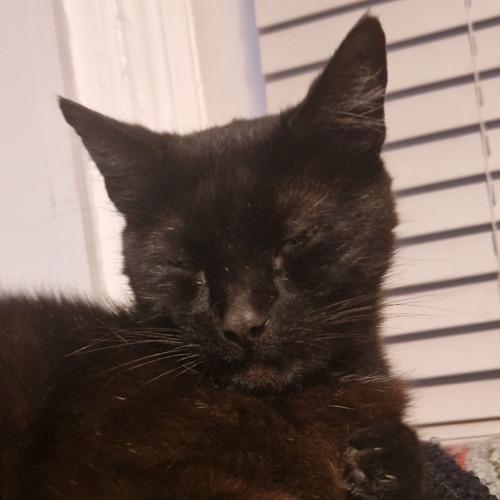 I'll break, your bones, with all, the love I carry - Sleep talking by Indigo de souza