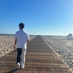 Camila Cabello - DREAM-GIRLS (MaxaM Remix)