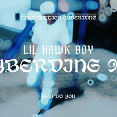 Cyberding Bay Dragon, Lil Hawk Boy - Why Do You