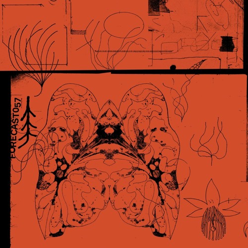 Forecast 057: Andrea Ida