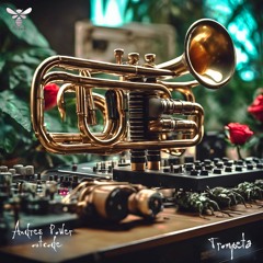 Trompeta - Andres Power, Outcode