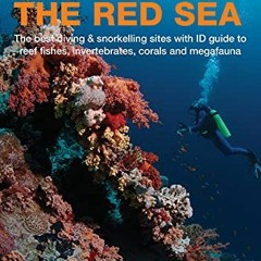 READ KINDLE PDF EBOOK EPUB Underwater Guide to the Red Sea by  Lawson Wood 💙