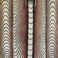 ERROR! ERROR! 05.08.21