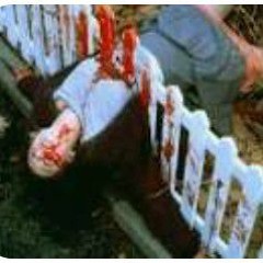 call me on ur iPhone:(