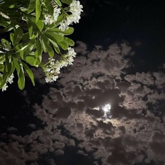 "أنت لست في سباق ولا صراع مع أحد"  للشيخ بدر آل مرعي.