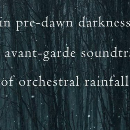 First light of Dawn - Naviarhaiku510