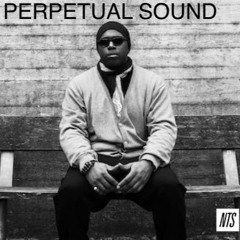 Perpetual Sound  With Fred P (NTS2) June