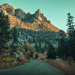 Of The Trees - Sleeping Giant (LIUV flip)