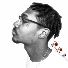 D Davinci- Dead Rose