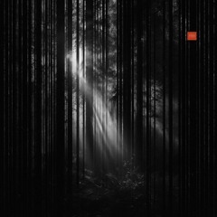 Session #2 - Love, Schranz