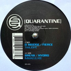 🎵 D-Bridge & Fierce - Twilight (2005) [Liquid DnB]