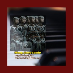 NEED TO FREEDOM basic freedom manual mix .wav