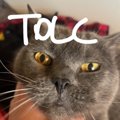 Ho appena fatto il tolc!