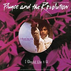 Prince & The Revolution - I Would Die For You (Extended Rework Rayko Edit)