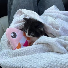 Pixel Grip - STAMINA