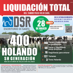 Federico Di Santi 250325