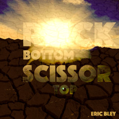 Rock Bottom Scisor Top