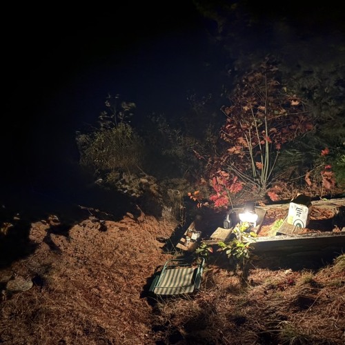 BUGGIN (prod. fiftyzeros)