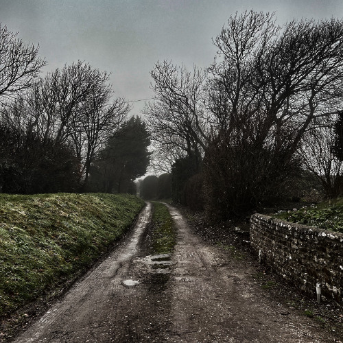 Mark Slee - Nightshade: Groundswell [February 2025]