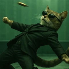 20250809  貝塔餐酒館 Beta bistro