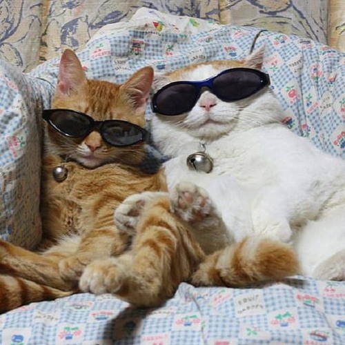 Dj MIU OA b2b FREAKTURE @ UngaBunka 2025 (Dj set)