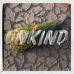 Bird Streets - Unkind - Radio Edit