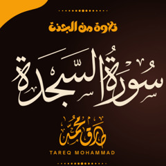 سورة السجدة - طارق محمد