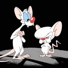 Pinky and the Brain Theme Song Remix
