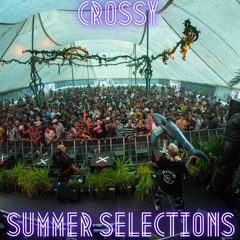 Summer Selections - Volume 1