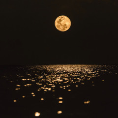 Forget the Moon (Lofi)