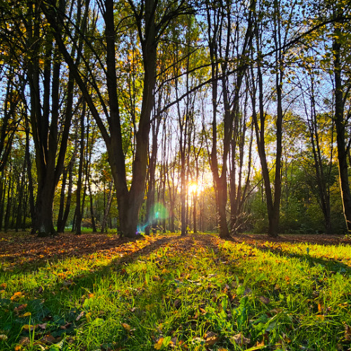 نورهم يسعى بين أيديهم و بأيمانهم يقولون ربنا أتمم لنا نورنا و اغفر لنا - سورة التحريم - دمعة قرآنية بمقام الكرد