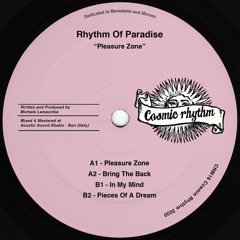 PREMIERE: Rhythm Of Paradise - In My Mind [Cosmic Rhythm]